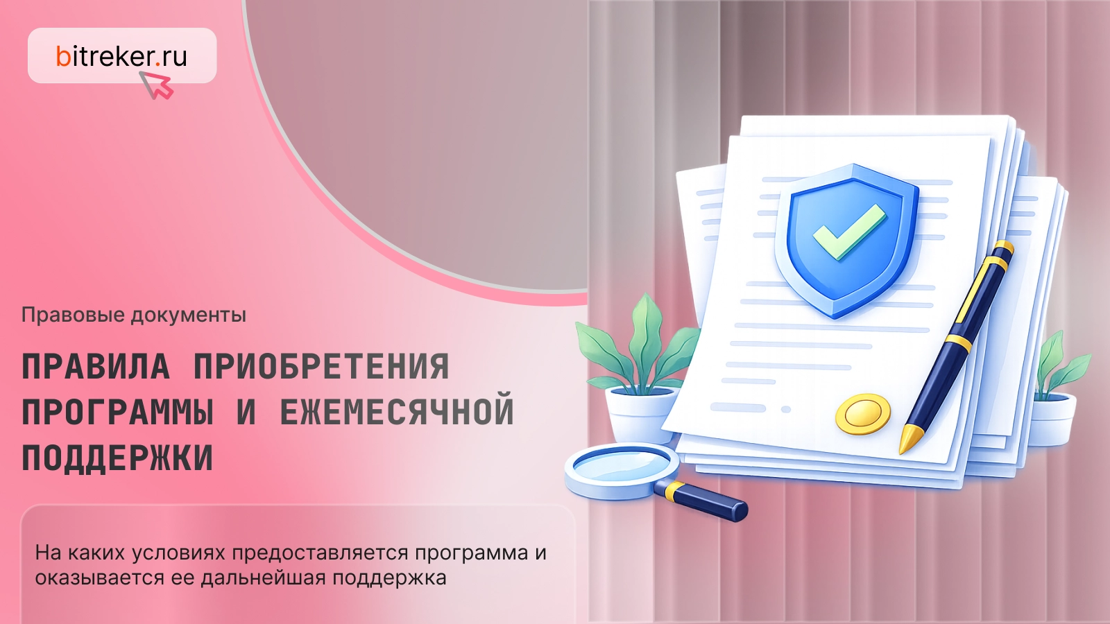 Правила приобретения программы и ежемесячной поддержки